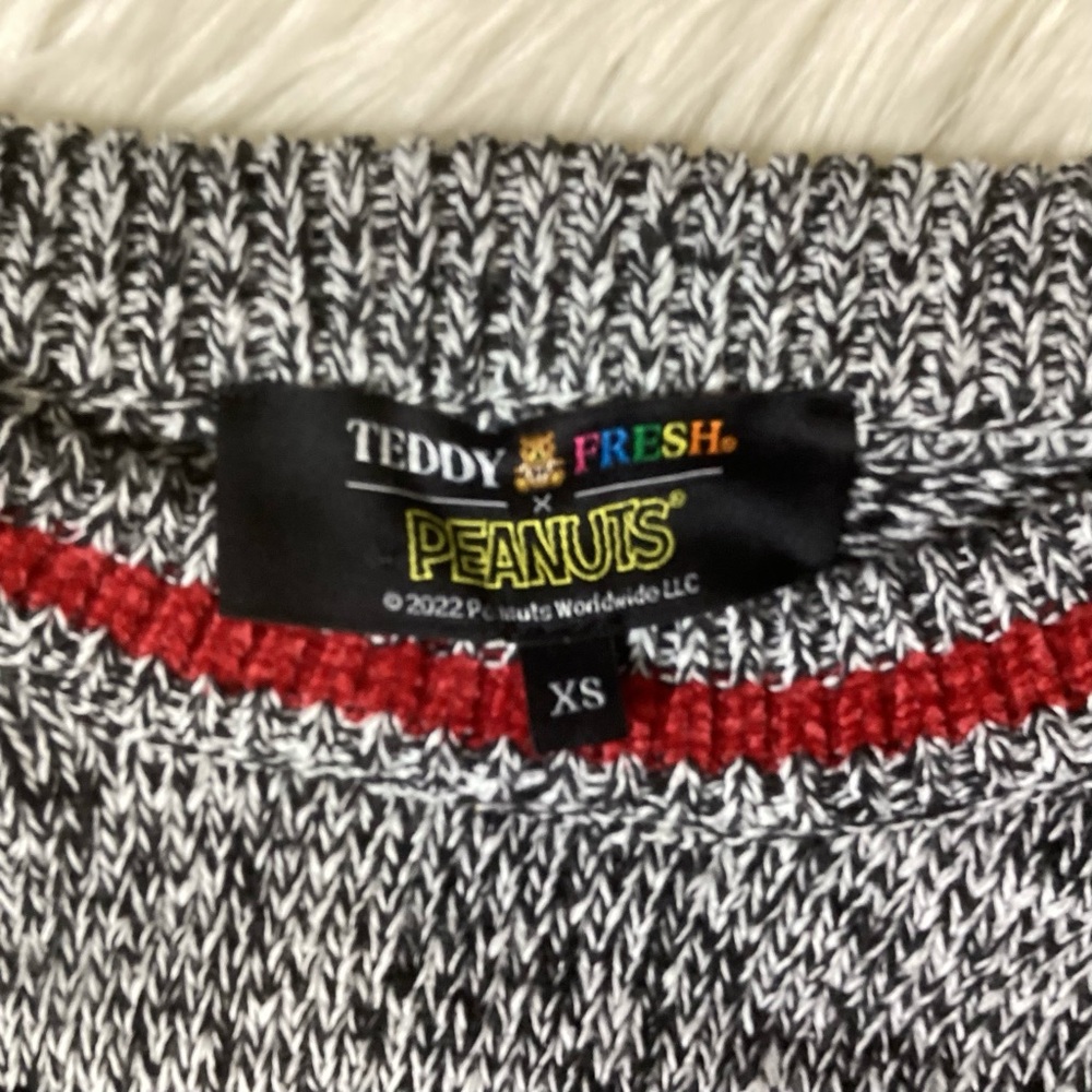 Teddy Fresh x Peanuts Knit Sweater Snoopy Woodstock Oversized XS - Picture 6 of 8